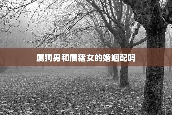 属狗男和属猪女的婚姻配吗