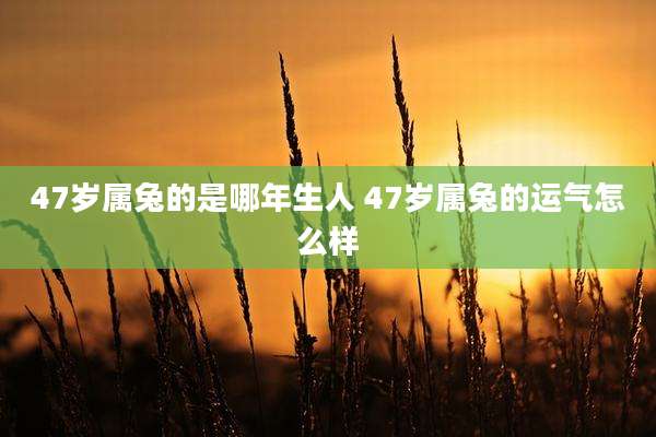 47岁属兔的是哪年生人 47岁属兔的运气怎么样