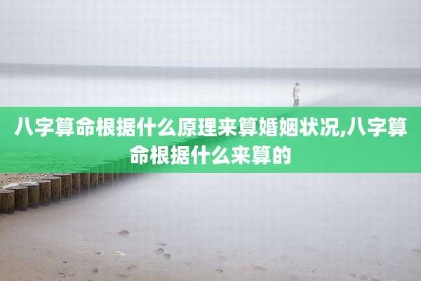 八字算命根据什么原理来算婚姻状况,八字算命根据什么来算的