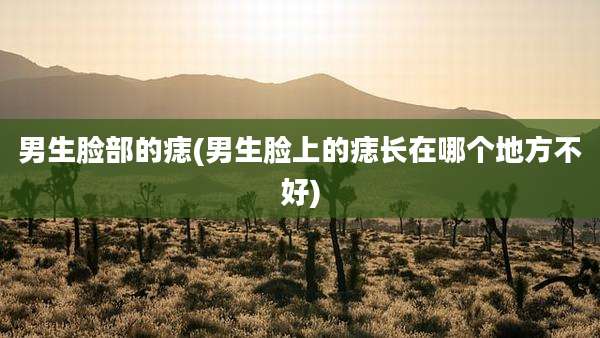 男生脸部的痣(男生脸上的痣长在哪个地方不好)