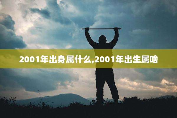 2001年出身属什么,2001年出生属啥