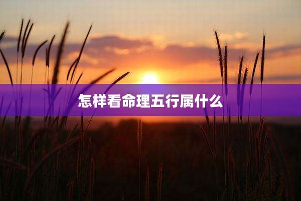 怎样看命理五行属什么