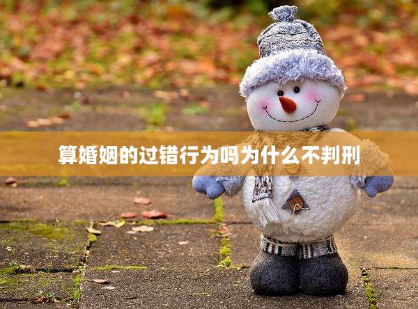 算婚姻的过错行为吗为什么不判刑