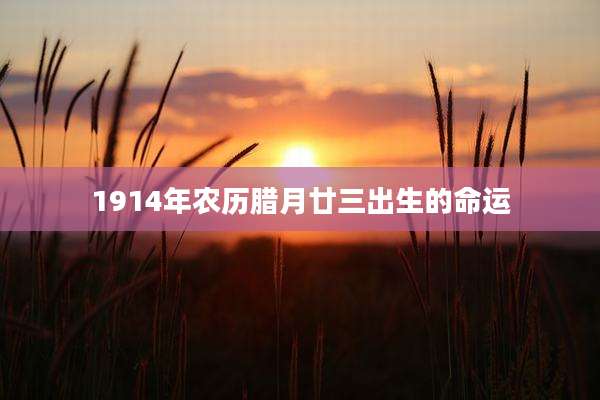 1914年农历腊月廿三出生的命运