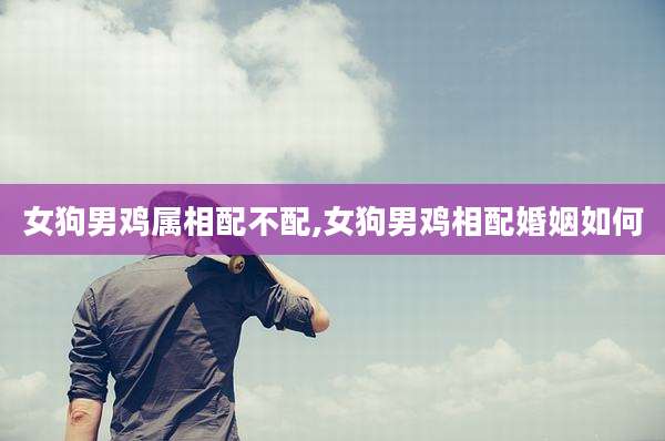 女狗男鸡属相配不配,女狗男鸡相配婚姻如何