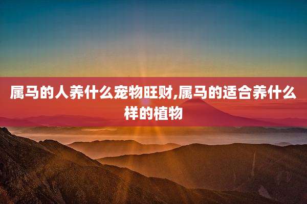 属马的人养什么宠物旺财,属马的适合养什么样的植物