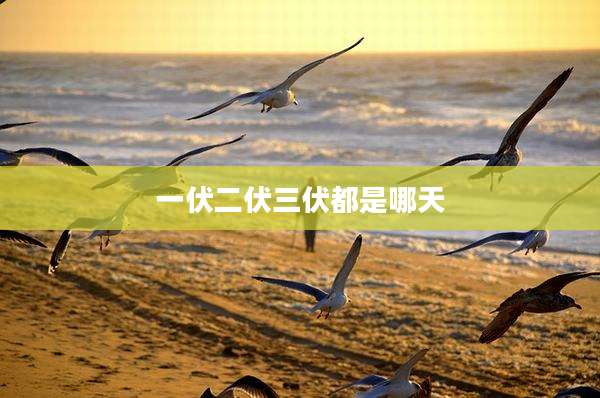 一伏二伏三伏都是哪天