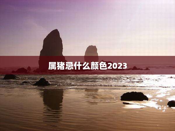 属猪忌什么颜色2023