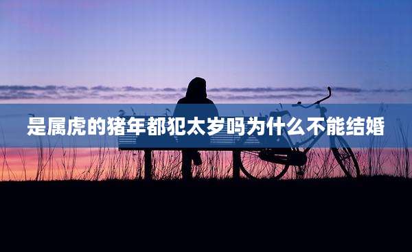 是属虎的猪年都犯太岁吗为什么不能结婚
