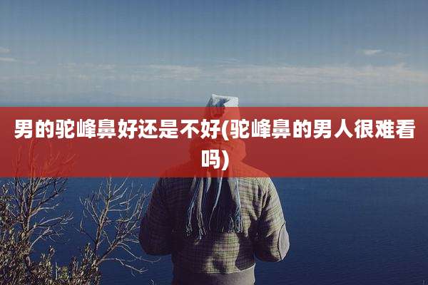 男的驼峰鼻好还是不好(驼峰鼻的男人很难看吗)