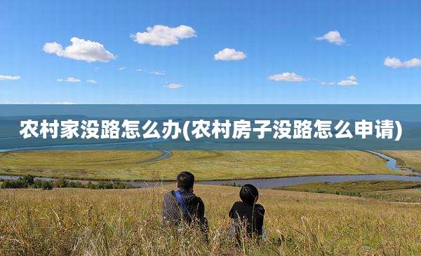 农村家没路怎么办(农村房子没路怎么申请)