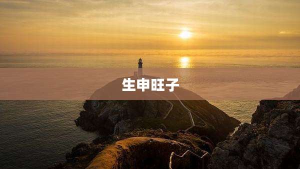 生申旺子