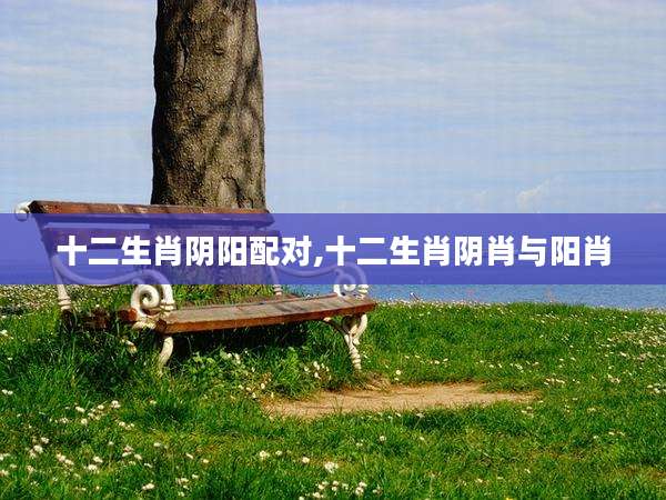 十二生肖阴阳配对,十二生肖阴肖与阳肖