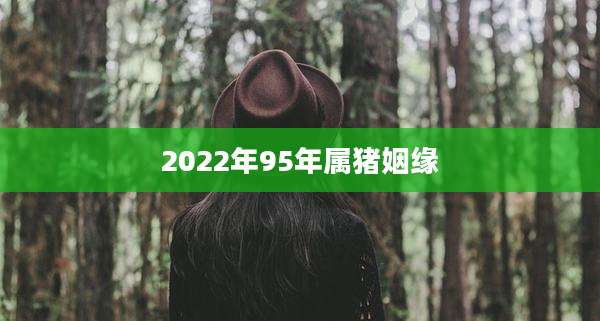 2022年95年属猪姻缘
