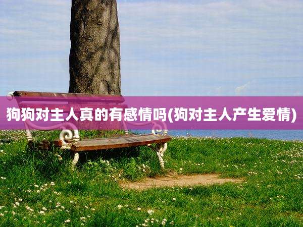 狗狗对主人真的有感情吗(狗对主人产生爱情)