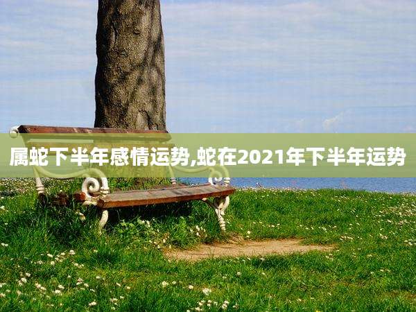 属蛇下半年感情运势,蛇在2021年下半年运势