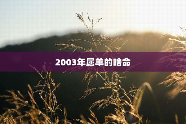 2003年属羊的啥命
