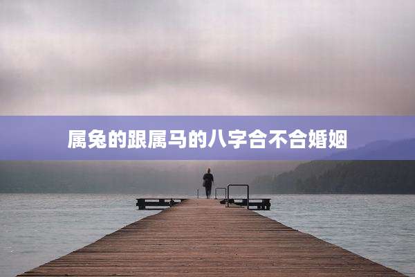 属兔的跟属马的八字合不合婚姻