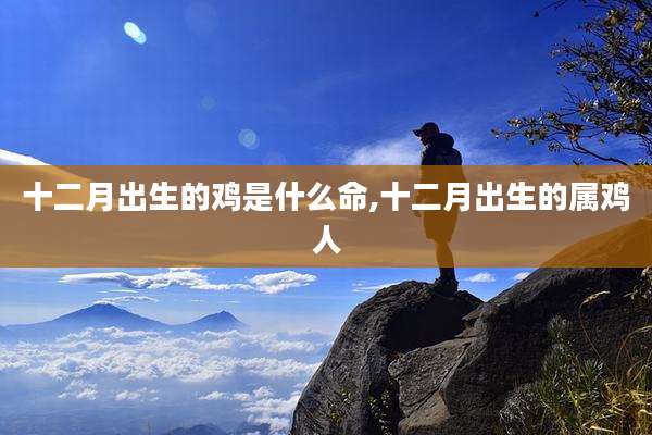 十二月出生的鸡是什么命,十二月出生的属鸡人