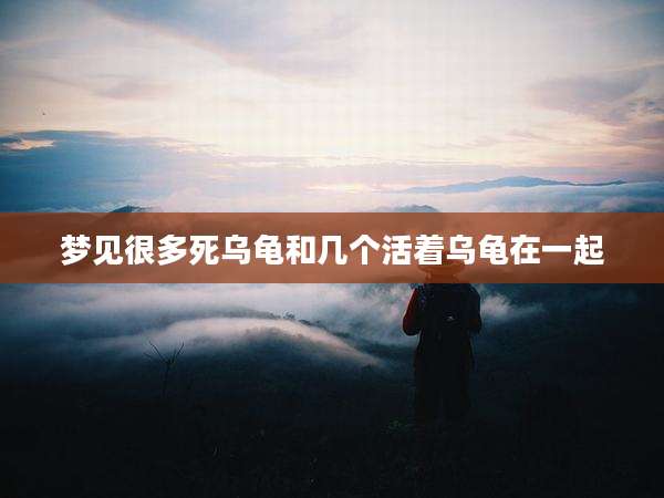 梦见很多死乌龟和几个活着乌龟在一起