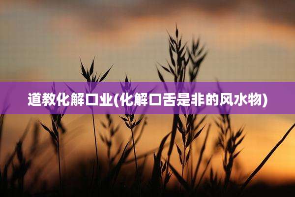 道教化解口业(化解口舌是非的风水物)