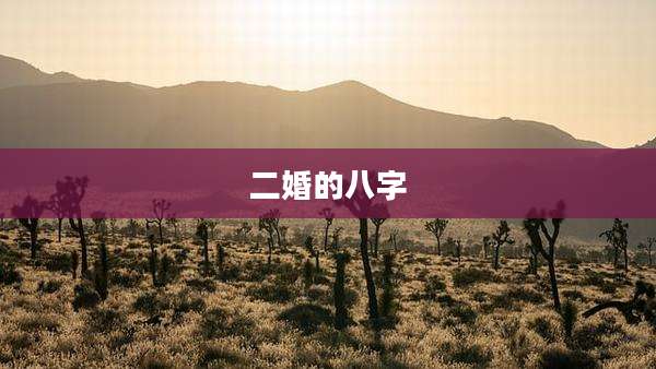 二婚的八字
