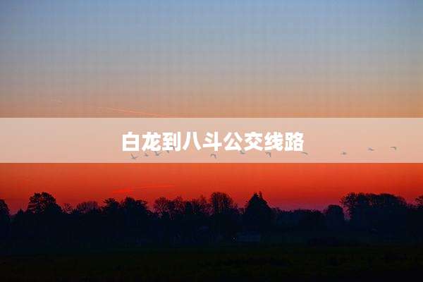白龙到八斗公交线路