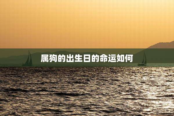 属狗的出生日的命运如何