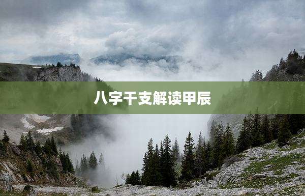 八字干支解读甲辰