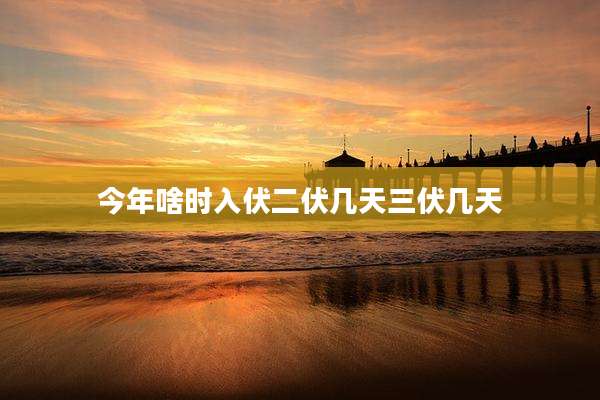 今年啥时入伏二伏几天三伏几天