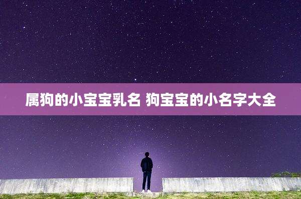 属狗的小宝宝乳名 狗宝宝的小名字大全