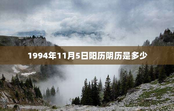 1994年11月5日阳历阴历是多少