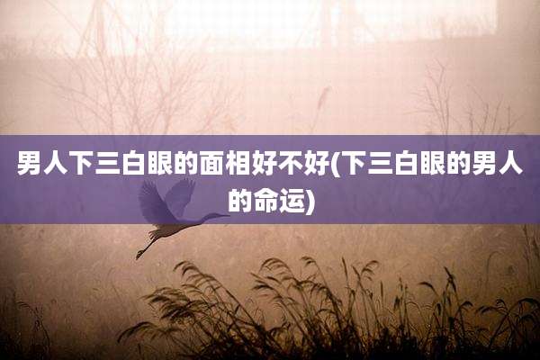 男人下三白眼的面相好不好(下三白眼的男人的命运)