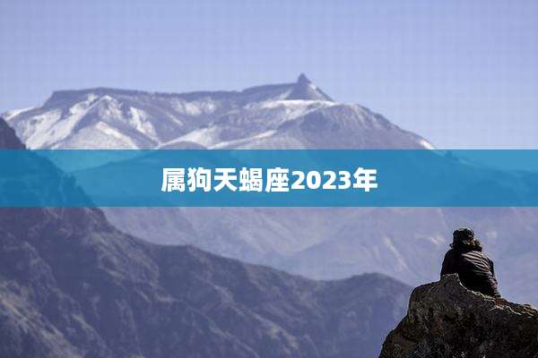 属狗天蝎座2023年