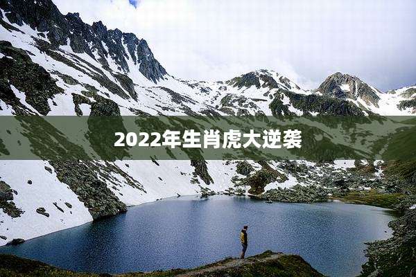 2022年生肖虎大逆袭