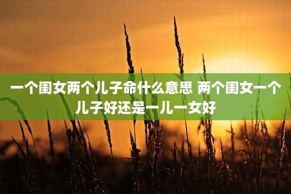 一个闺女两个儿子命什么意思 两个闺女一个儿子好还是一儿一女好