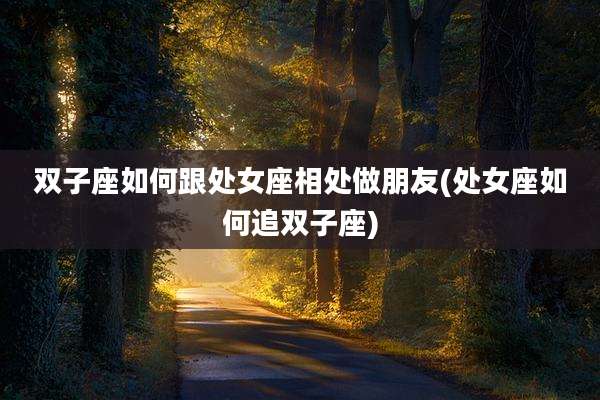 双子座如何跟处女座相处做朋友(处女座如何追双子座)