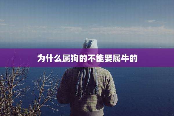 为什么属狗的不能娶属牛的