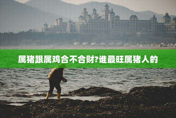 属猪跟属鸡合不合财?谁最旺属猪人的