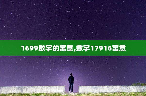1699数字的寓意,数字17916寓意