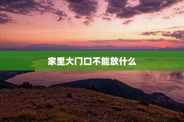家里大门口不能放什么