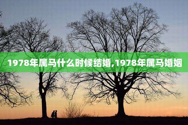 1978年属马什么时候结婚,1978年属马婚姻