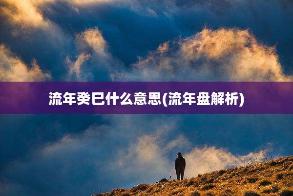 流年癸巳什么意思(流年盘解析)