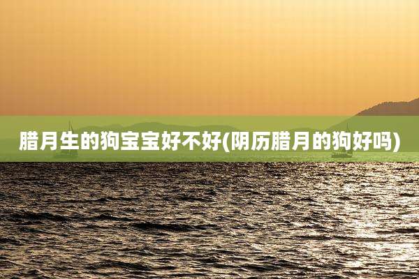 腊月生的狗宝宝好不好(阴历腊月的狗好吗)