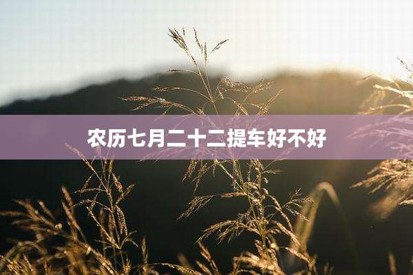 农历七月二十二提车好不好