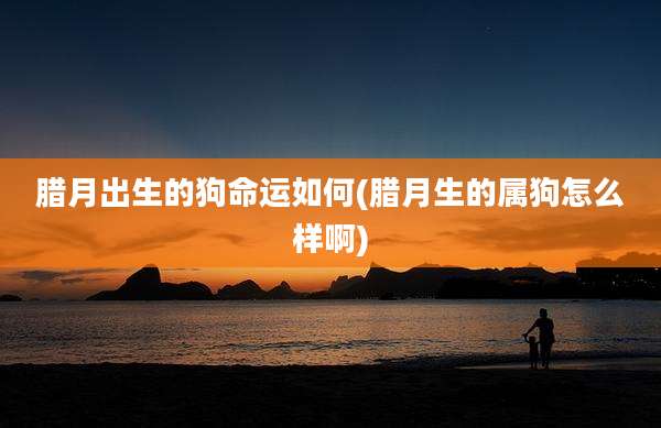 腊月出生的狗命运如何(腊月生的属狗怎么样啊)