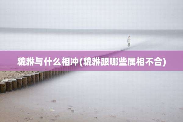 貔貅与什么相冲(貔貅跟哪些属相不合)