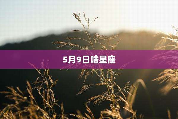 5月9日啥星座