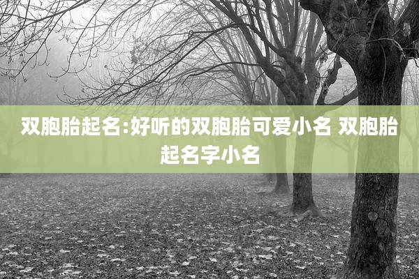 双胞胎起名:好听的双胞胎可爱小名 双胞胎起名字小名