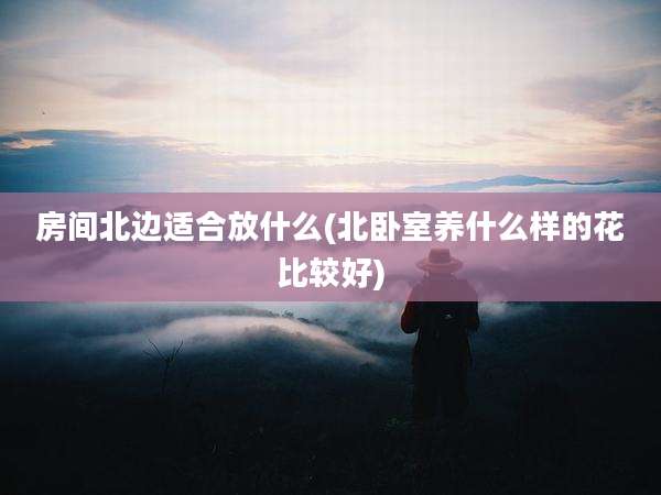 房间北边适合放什么(北卧室养什么样的花比较好)